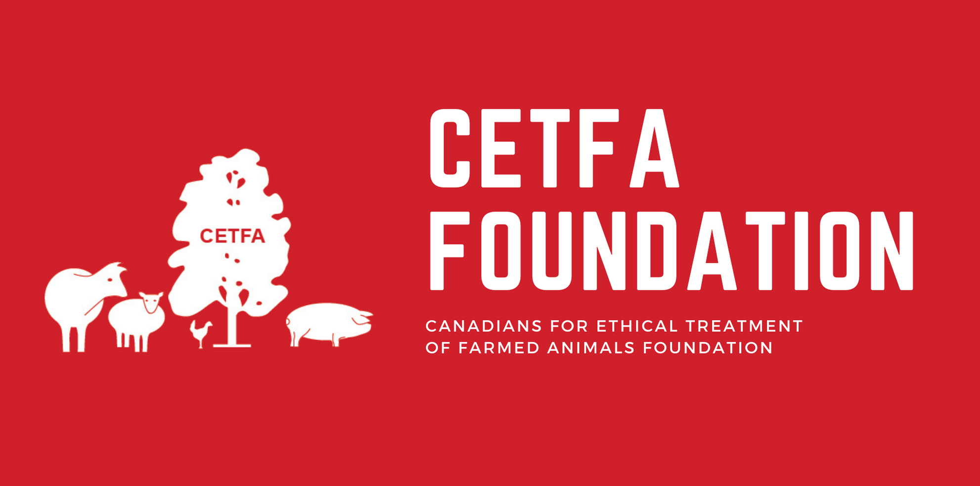 CETFA Foundation