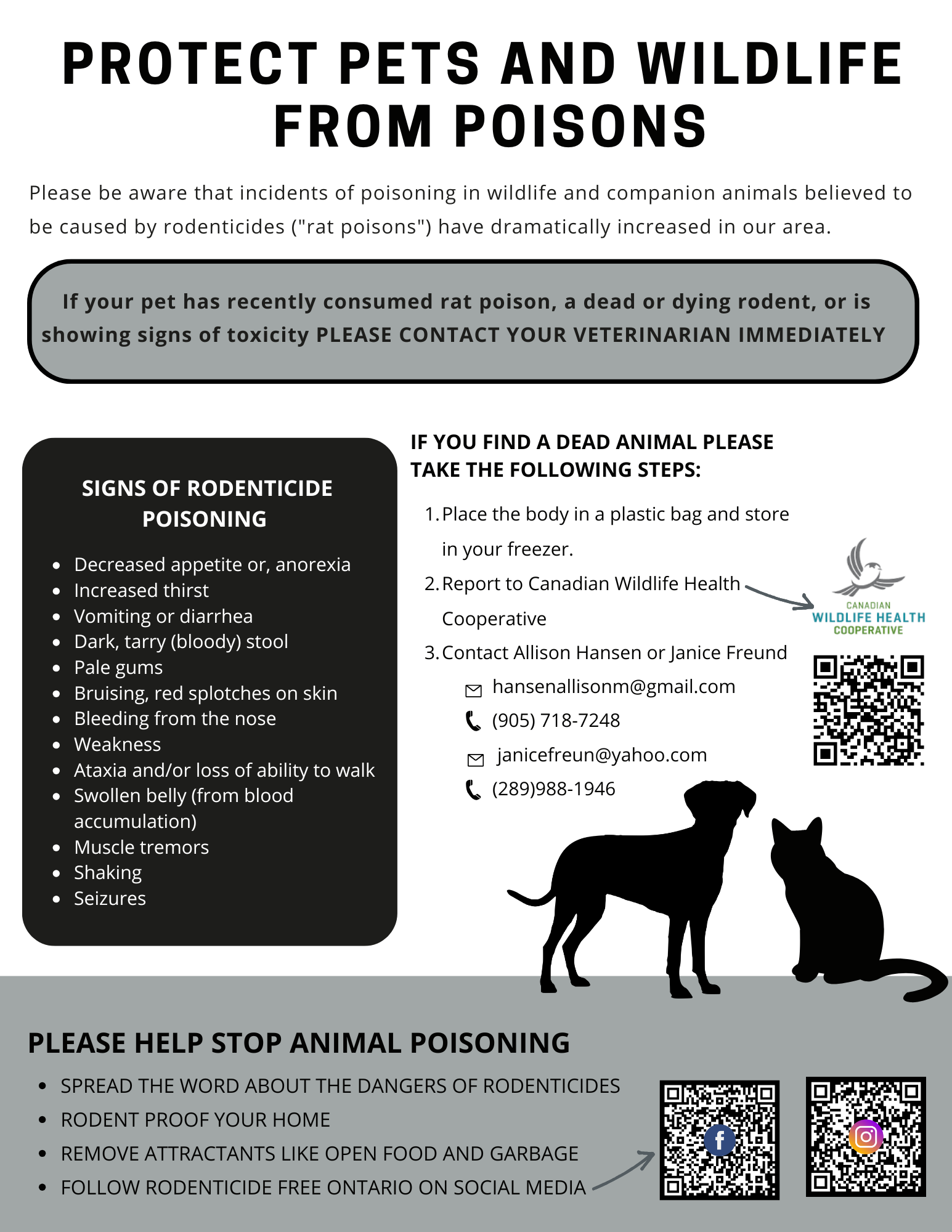 Minden Flyer Protect Pets 2