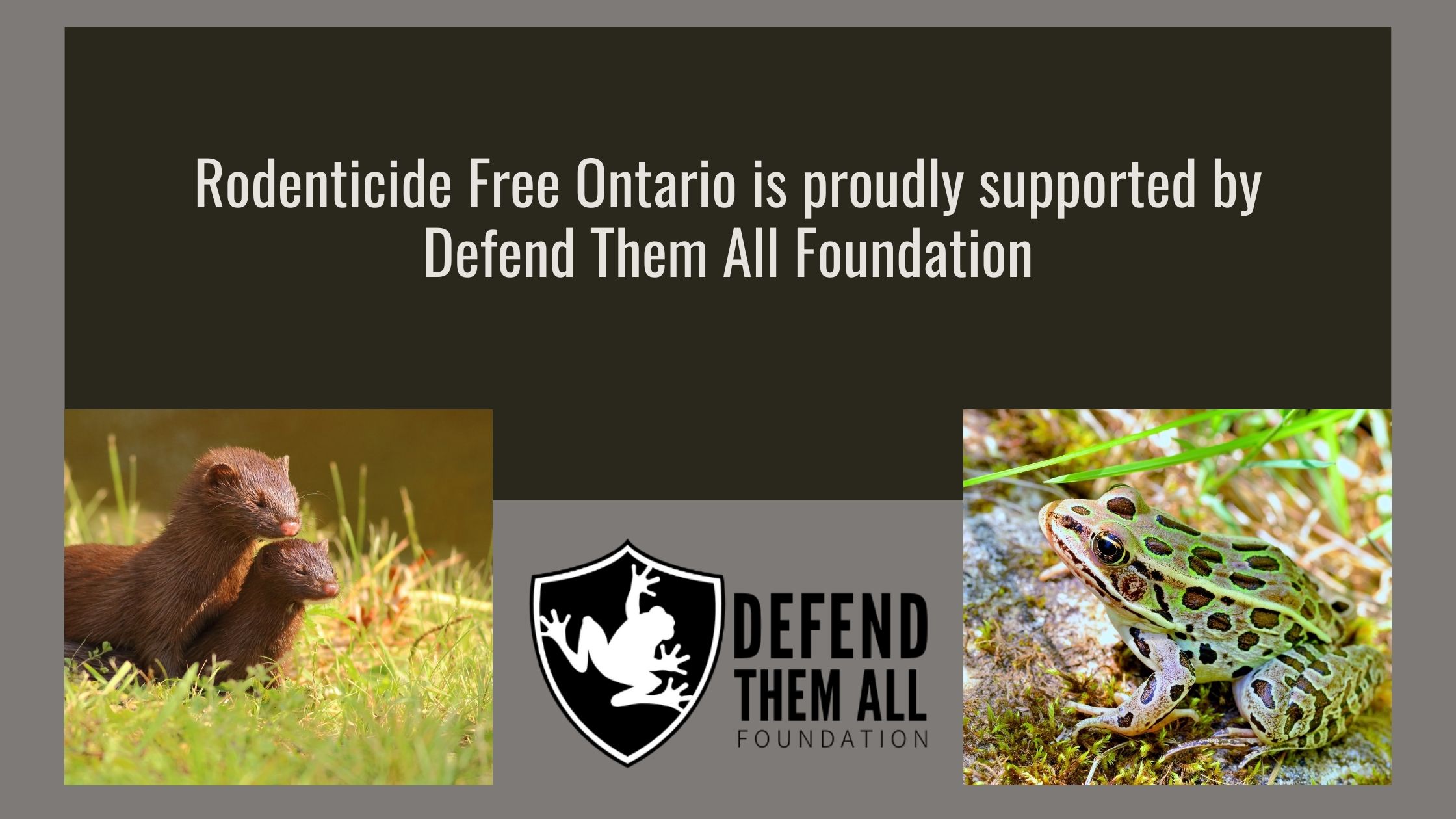 RFO Homepage Banner Supported by