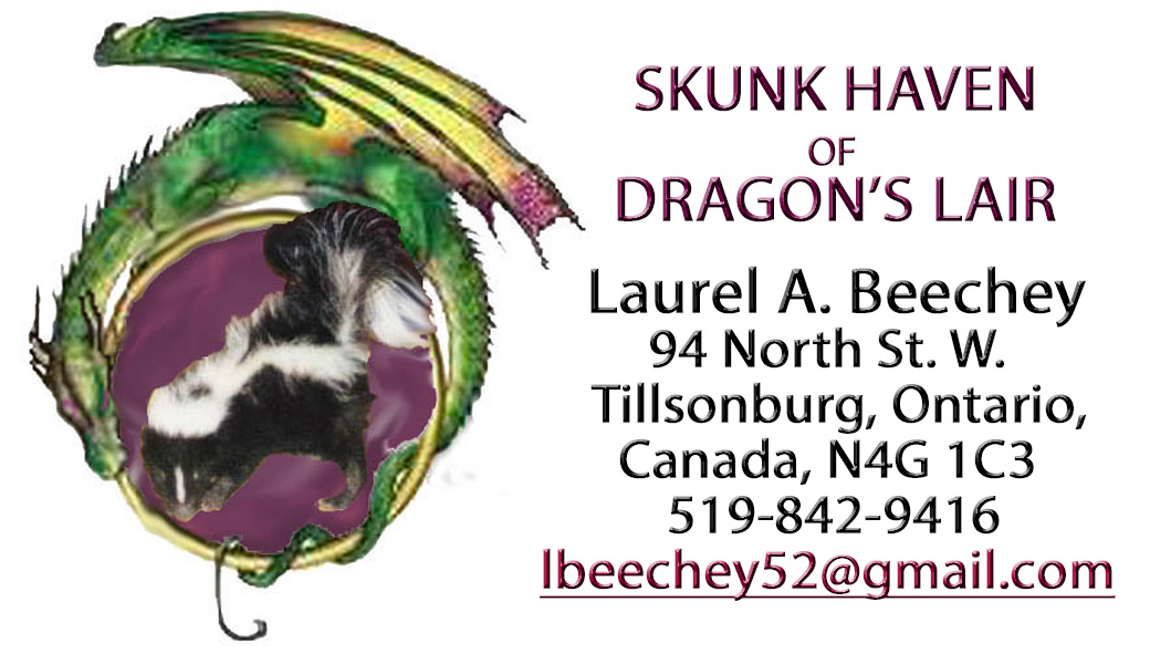 logo black skunk letterhead 1